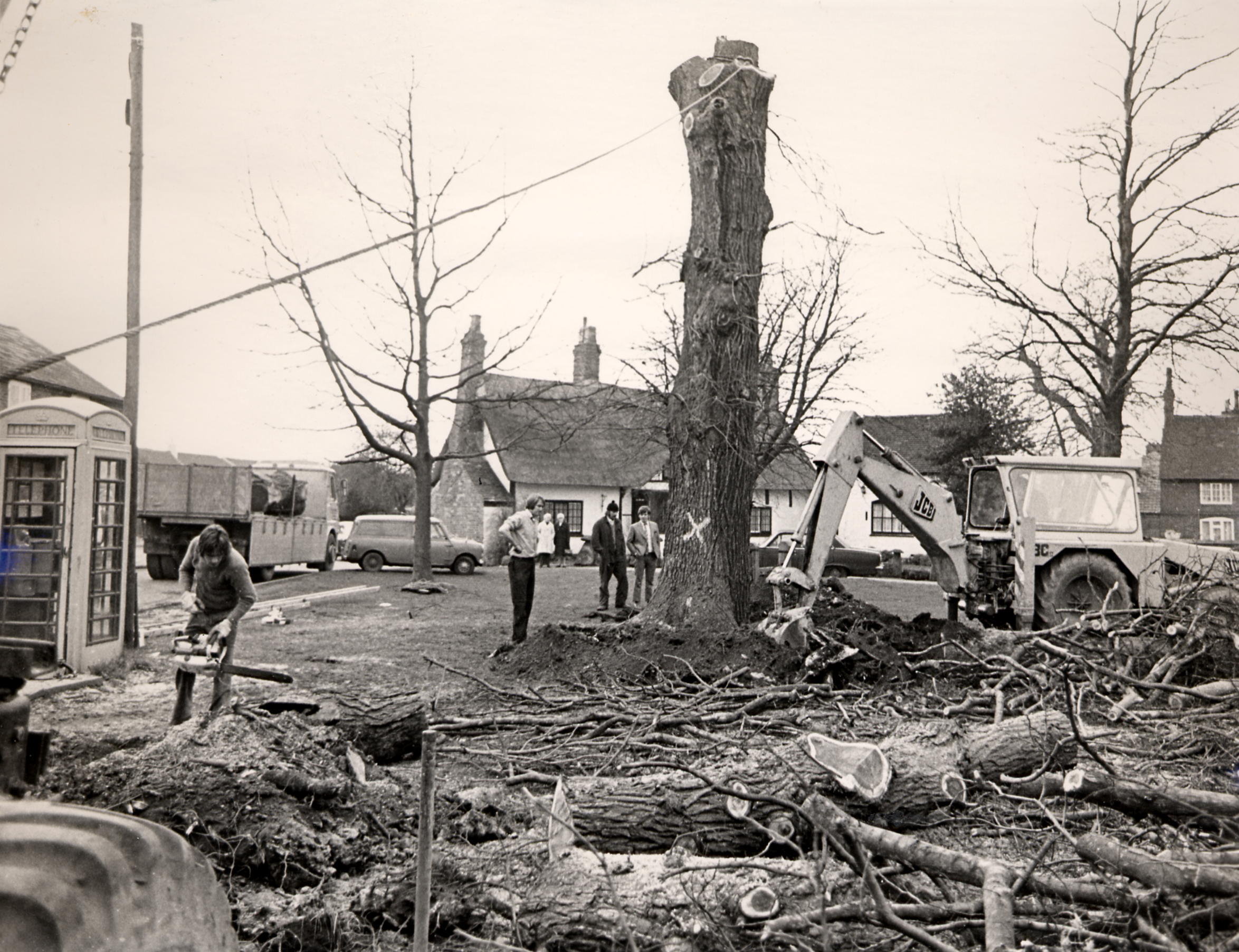 Elms on The Green 1974